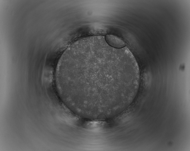 X0000115280323200911201758