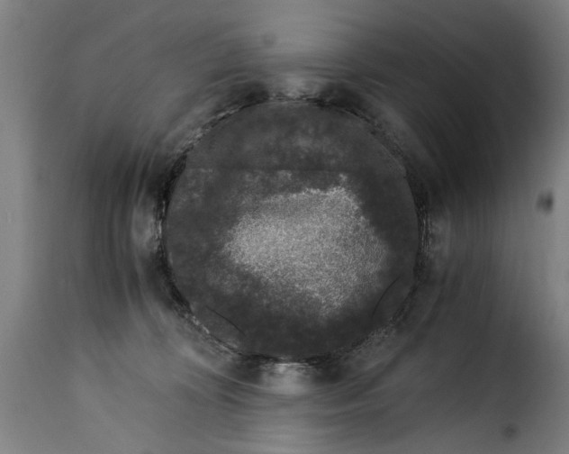 X0000115280324200911201757