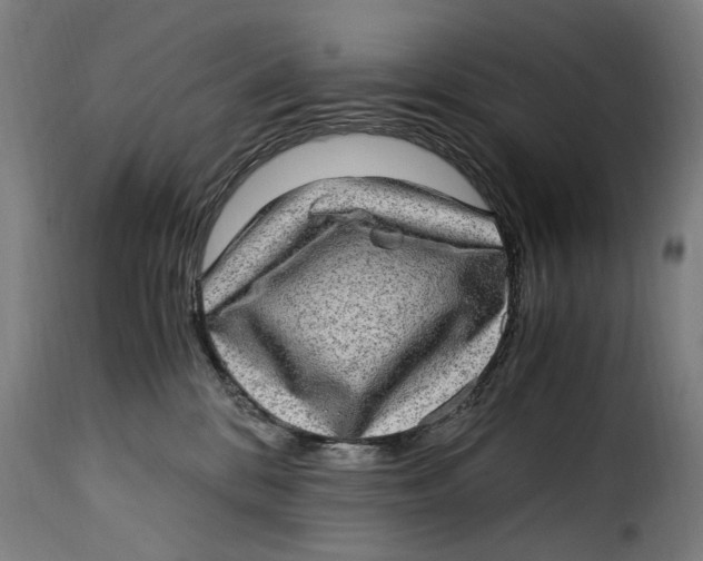 X0000115280328200911201757