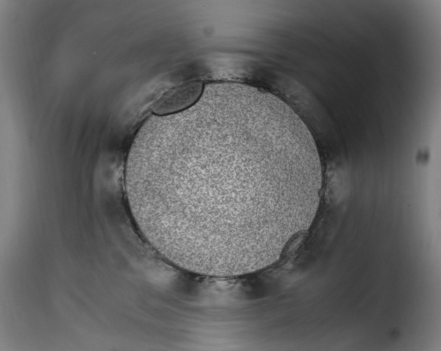 X0000115280329200911201757