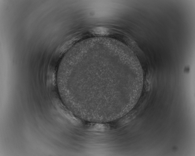 X0000115280330200911201757