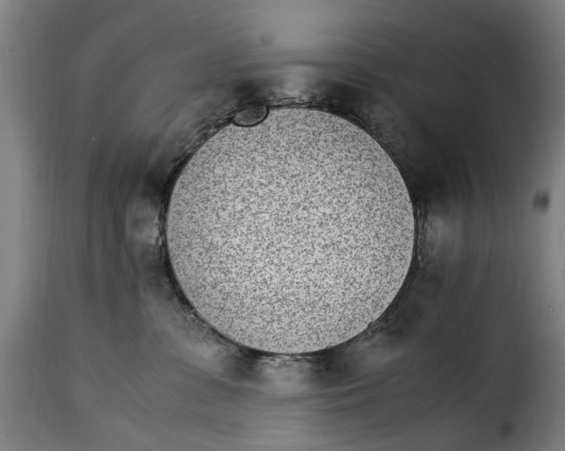 X0000115280331200911201757