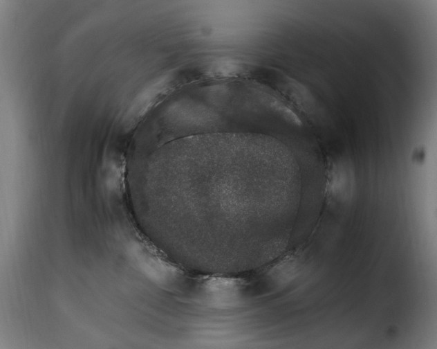 X0000115280332200911201757