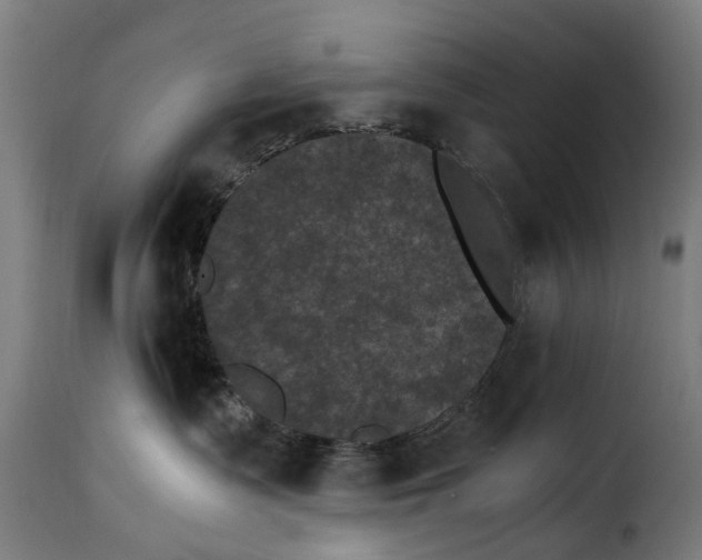 X0000115280335200911201757