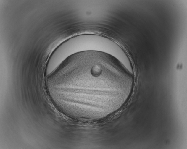 X0000115280337200911201757