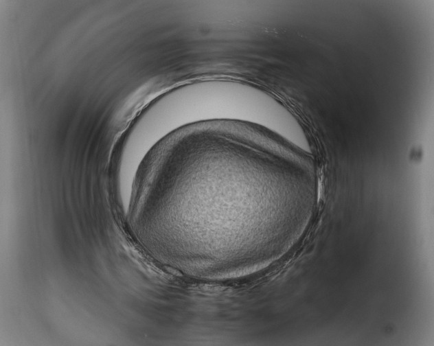 X0000115280339200911201757