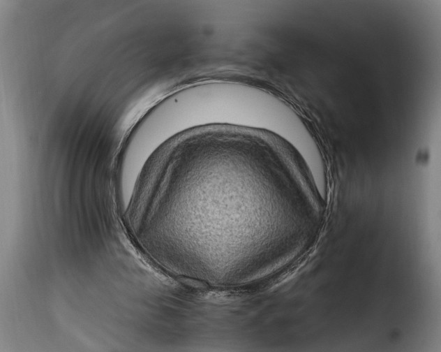 X0000115280341200911201757