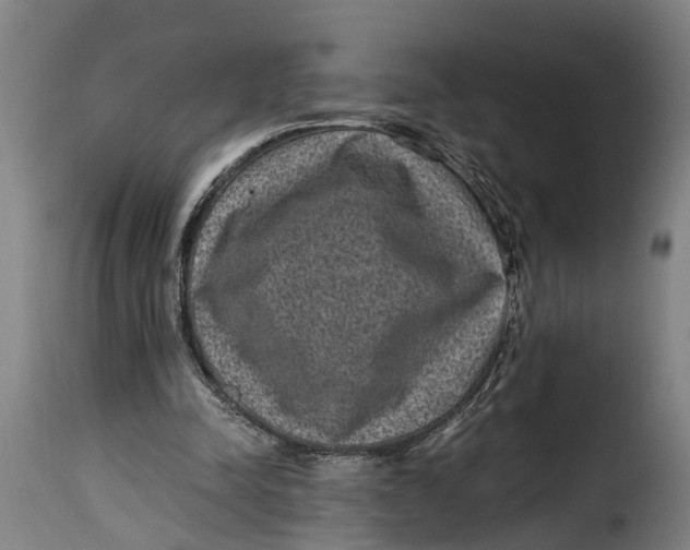 X0000115280342200911201757