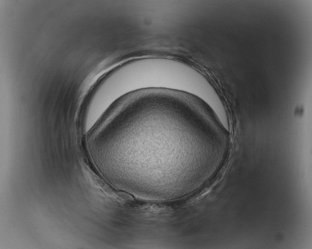 X0000115280343200911201757