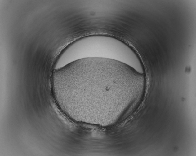 X0000115280345200911201757