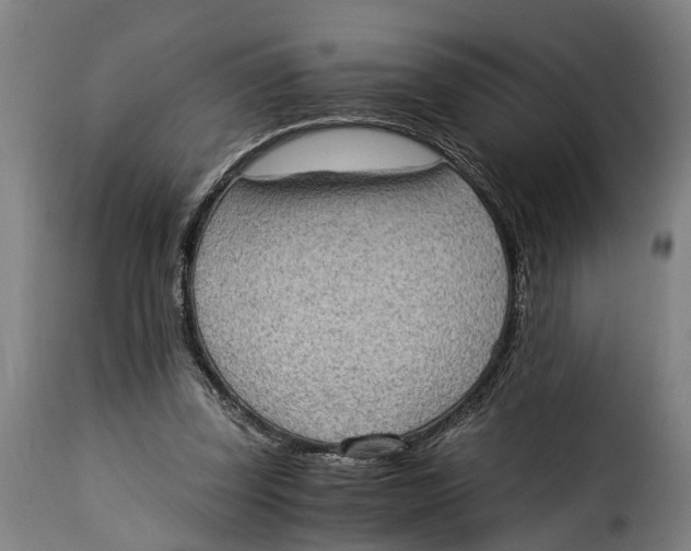 X0000115280347200911201757