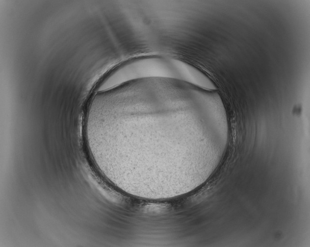 X0000115280350200911201757