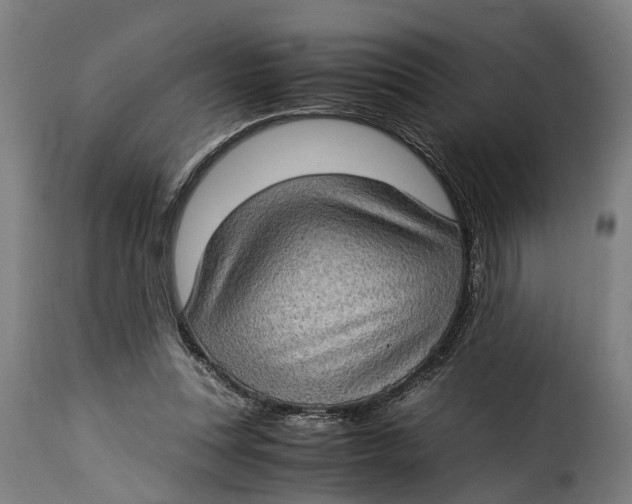 X0000115280351200911201757