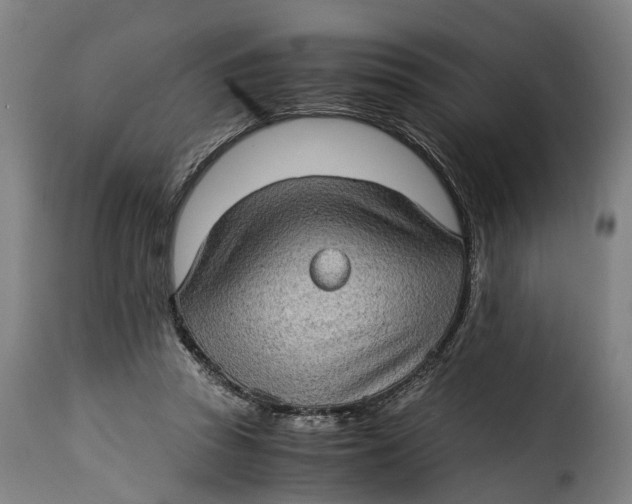 X0000115280353200911201757