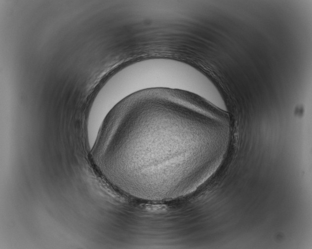 X0000115280355200911201757