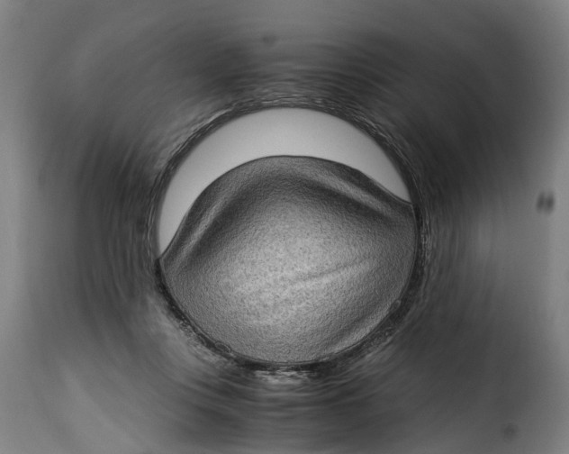 X0000115280359200911201757