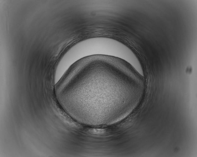 X0000115280361200911201757