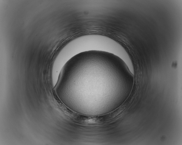 X0000115280365200911201757