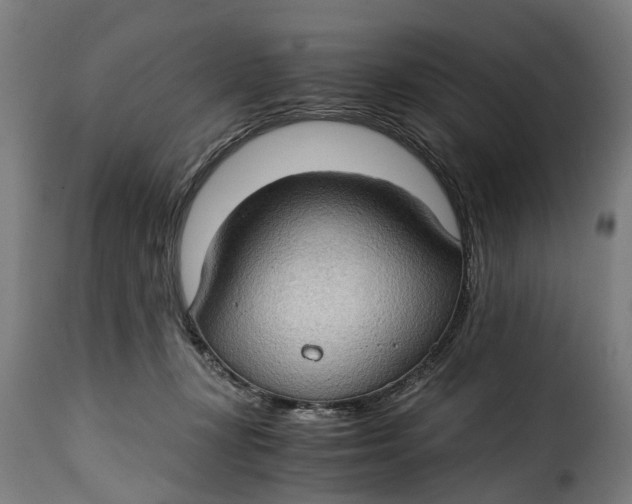 X0000115280367200911201757