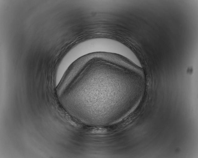 X0000115280369200911201757