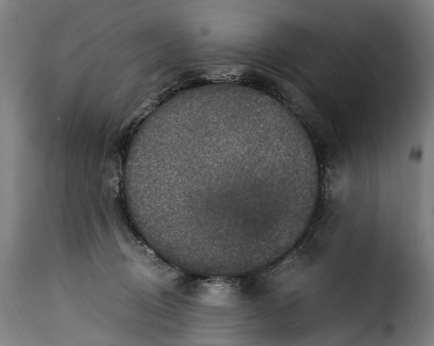 X0000115280370200911201757