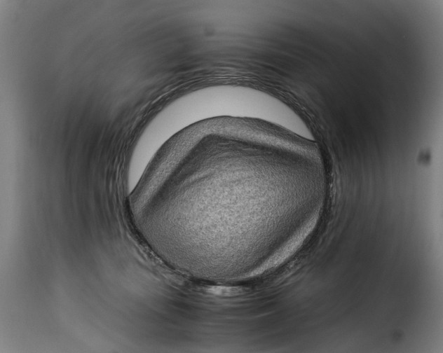 X0000115280371200911201757