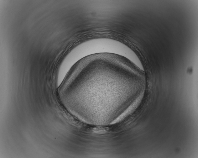 X0000115280373200911201757