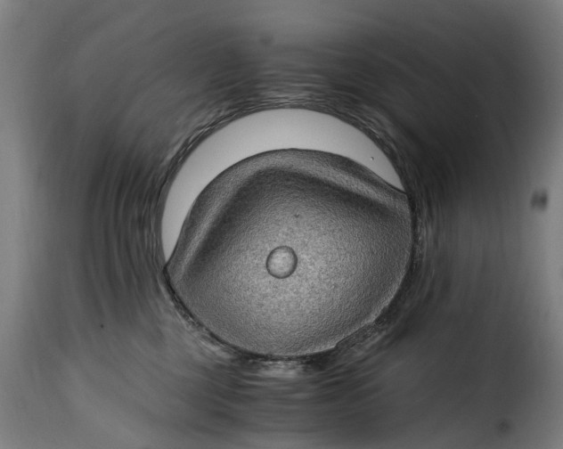 X0000115280377200911201757