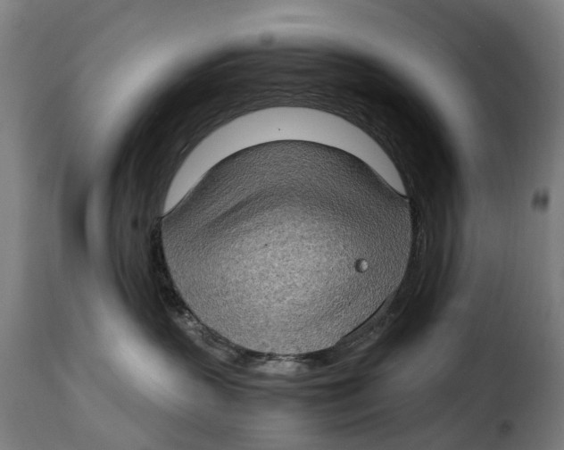 X0000115280383200911201757