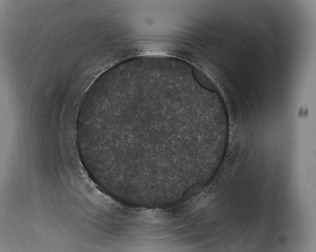 X0000115280385200911201757