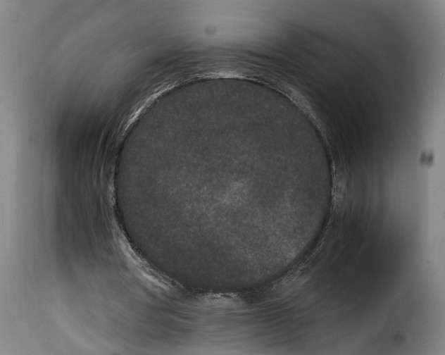 X0000115280386200911201757