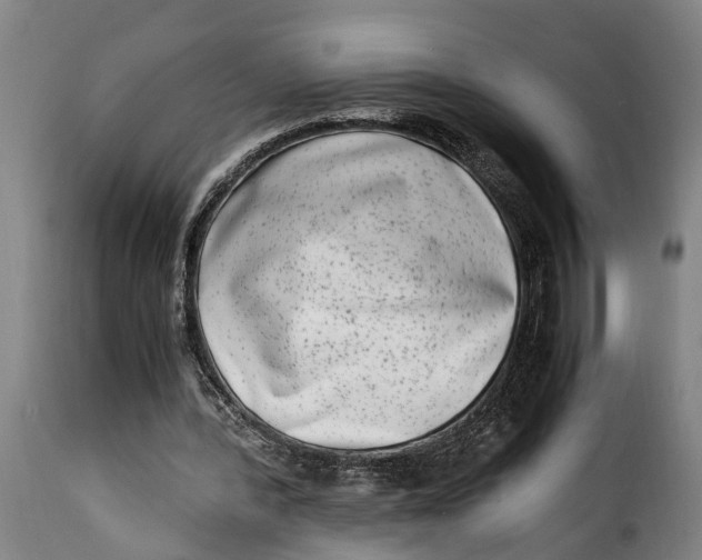 X0000115280388200911201757