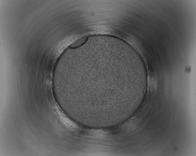 X0000115280389200911201757