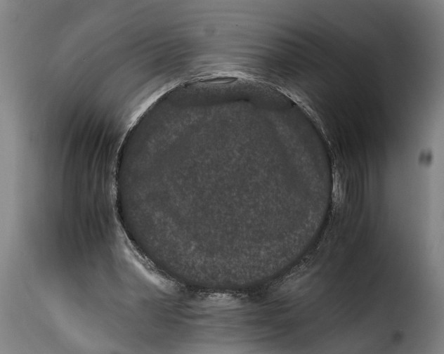 X0000115280390200911201757