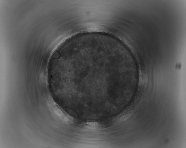 X0000115280391200911201757