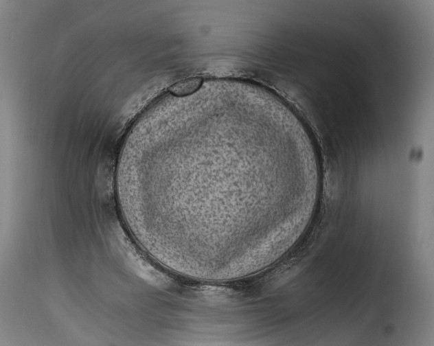 X0000115280393200911201757