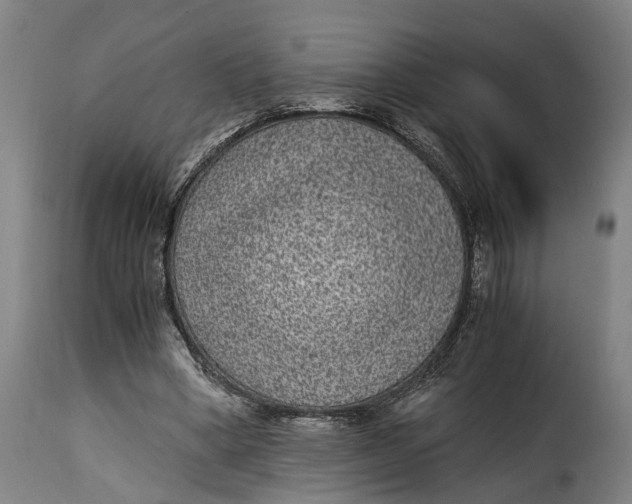 X0000115280394200911201757