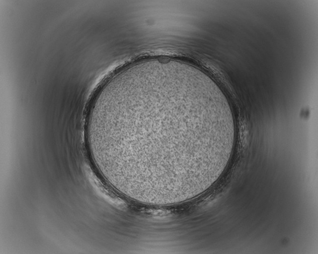 X0000115280395200911201757