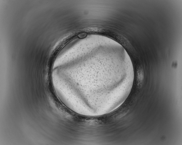 X0000115280396200911201757