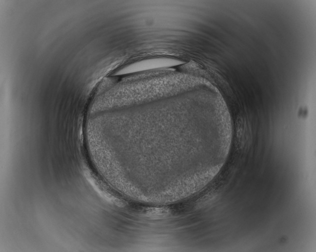 X0000115280398200911201756