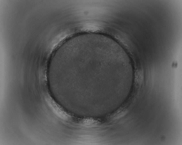 X0000115280399200911201756