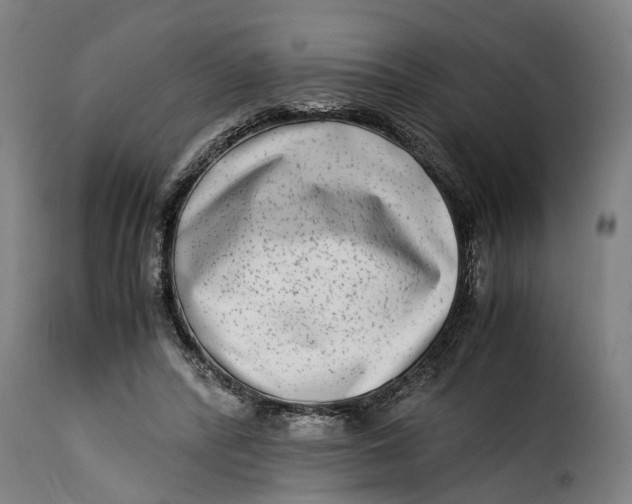 X0000115280400200911201756