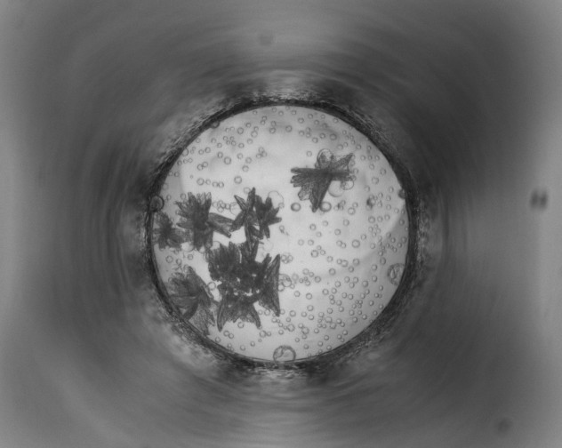 X0000115280401200911201756