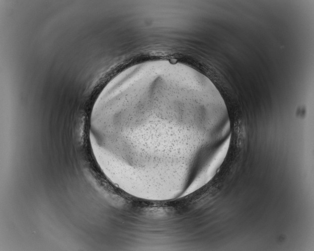 X0000115280404200911201756