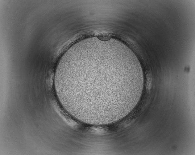 X0000115280405200911201756