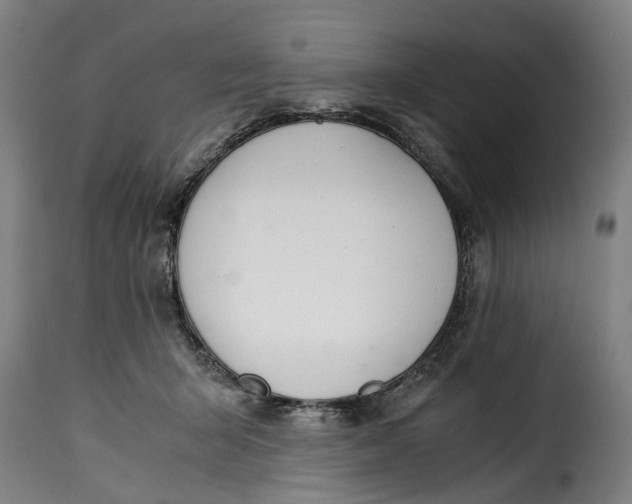 X0000115280415200911201756