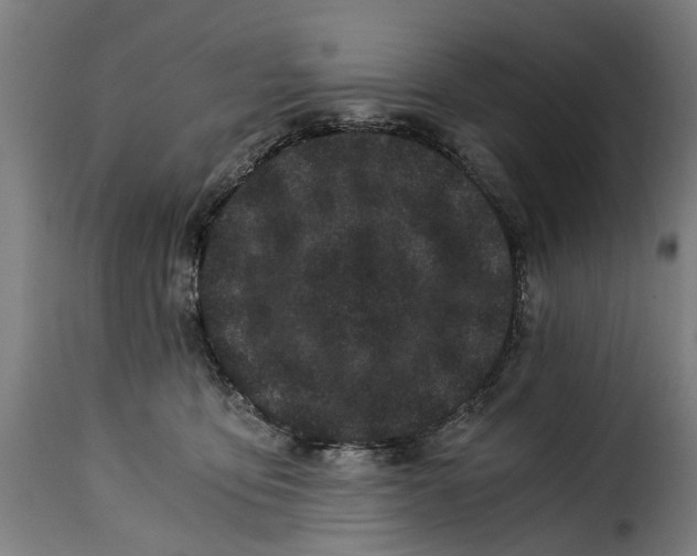 X0000115280419200911201756