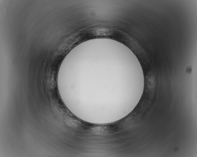 X0000115280422200911201756