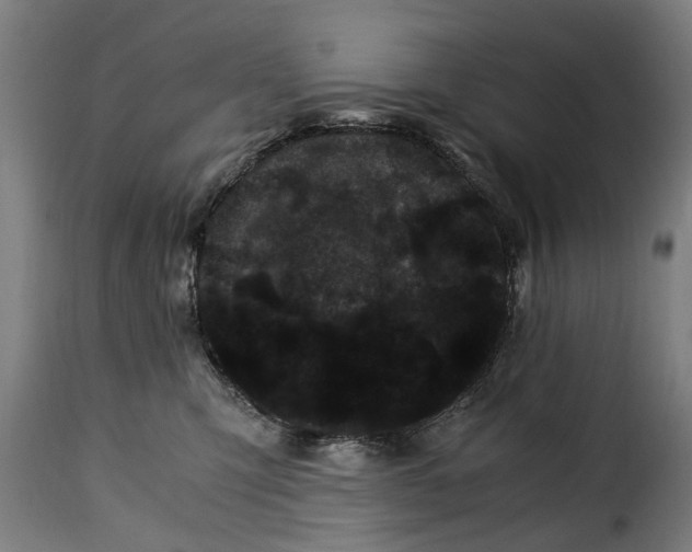 X0000115280423200911201756