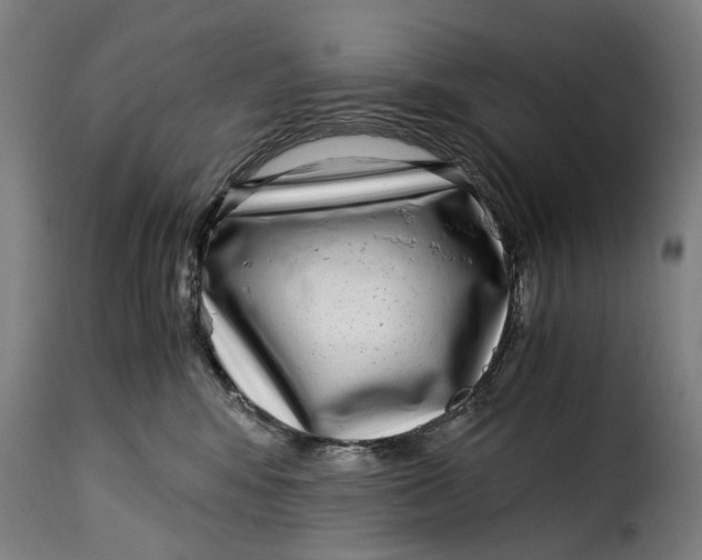 X0000115280424200911201756